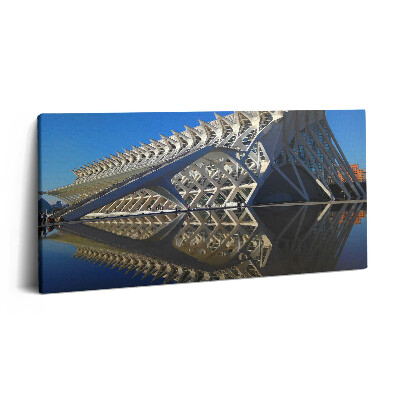 Obraz na plátně 100x50 cm Muzeum vědy ve Valencii