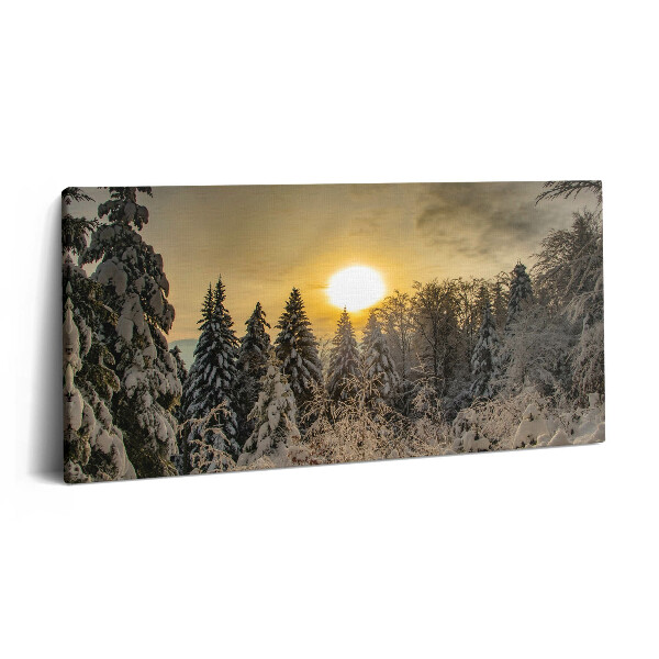 Obraz z fotografie na plátně 100x50 cm Zimní krajina Beskyd