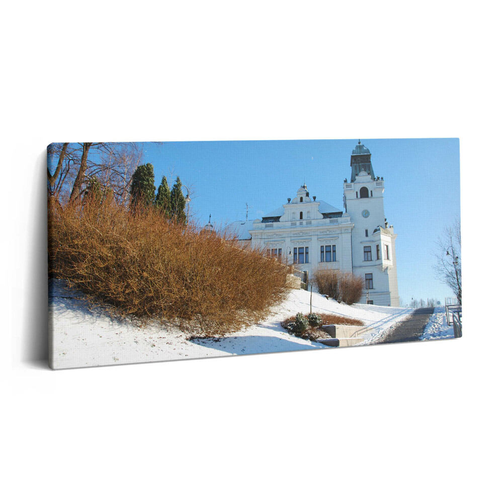 Obraz z fotografie na plátně 100x50 cm Město Ostrava v zimě