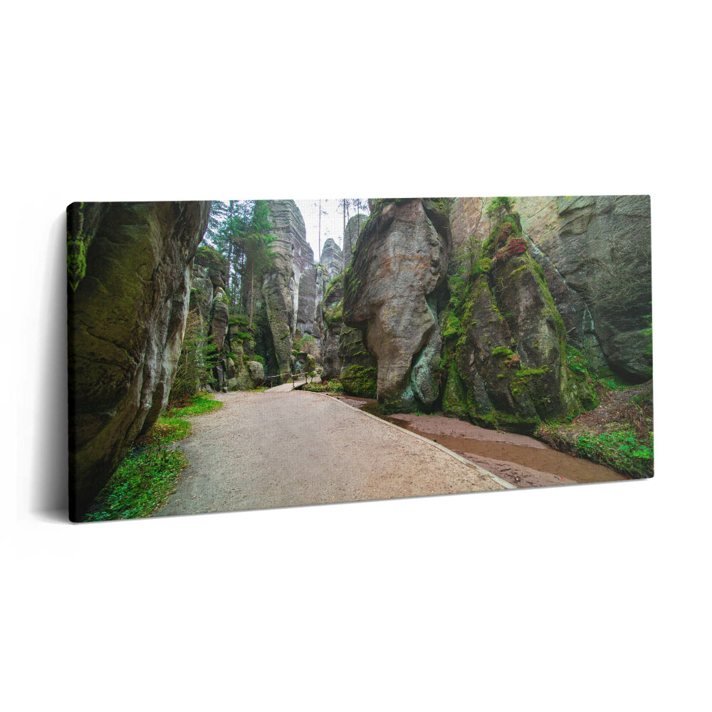 Obraz z fotografie na plátně 100x50 cm Skalní město v České republice