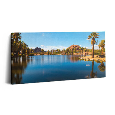 Obraz z fotografie na plátně 100x50 cm Krajina parku Papago
