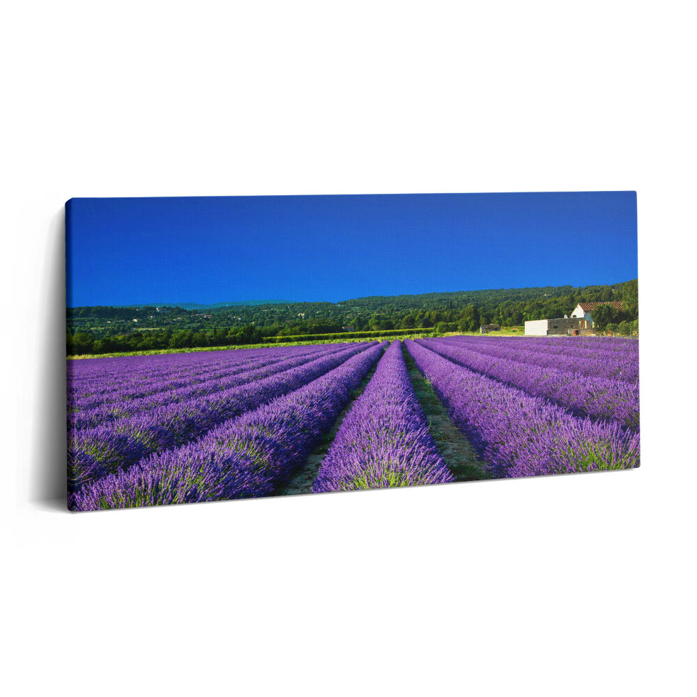 Obraz z fotografie na plátně 100x50 cm Levandulové pole v Provence