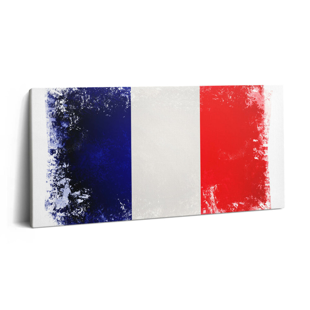 Obraz na plátně 100x50 cm Francouzská vlajka