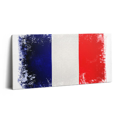 Obraz na plátně 100x50 cm Francouzská vlajka