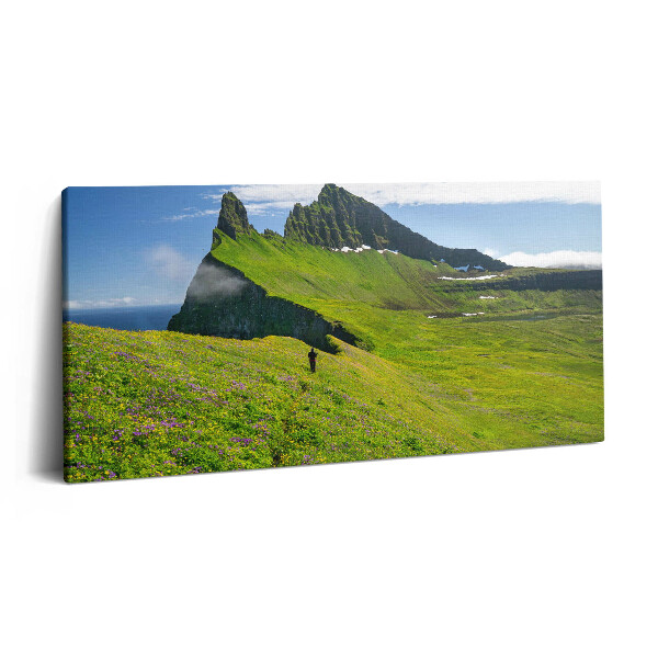 Obraz z fotografie na plátně 100x50 cm Přírodní rezervace Hornstrandir Island