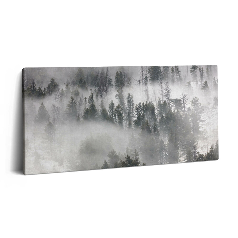 Obraz na plátně 120x60 cm Mlžná krajina lesa