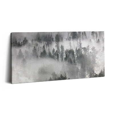 Obraz na plátně 120x60 cm Mlžná krajina lesa