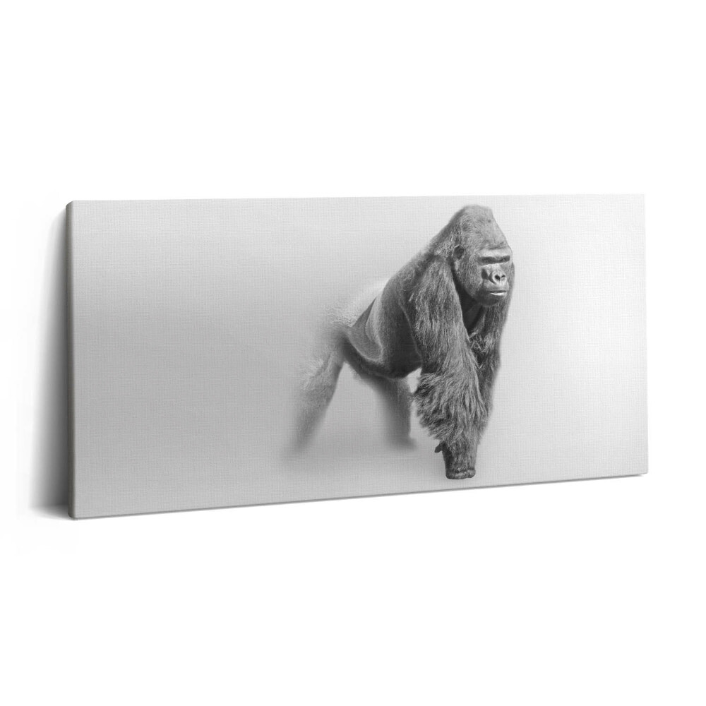 Obraz canvas 120x60 cm Sbírka uměleckých děl z divoké přírody