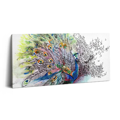 Obraz na plátně 120x60 cm Barevný páv