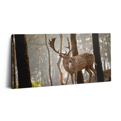 Obraz canvas 120x60 cm Jelen v záři vycházejícího slunce