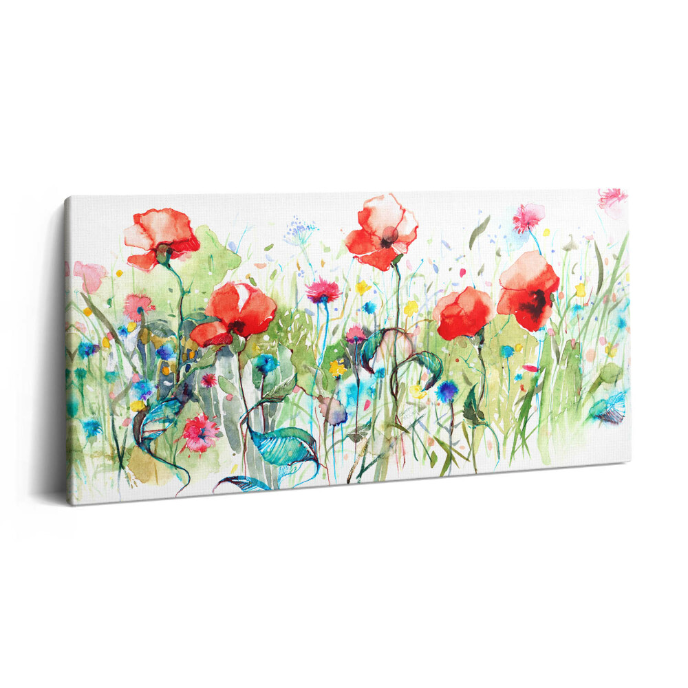 Obraz canvas 120x60 cm Mák na louce