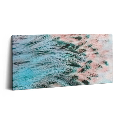 Obraz z fotografie na plátně 120x60 cm Barevné peří