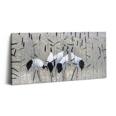 Obraz z fotografie na plátně 120x60 cm Rákosoví jeřábi