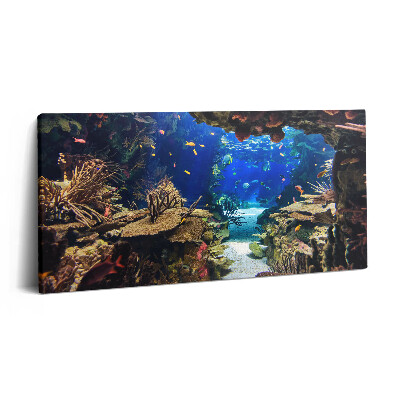 Obraz na plátně 120x60 cm Akvárium