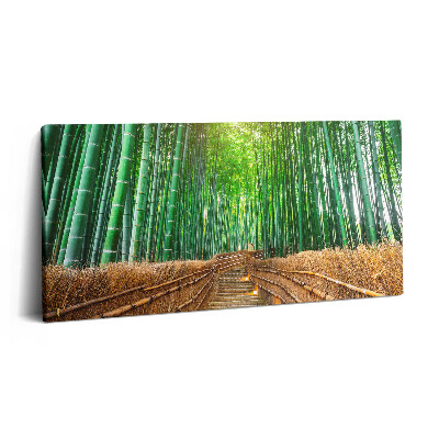 Obraz na plátně 120x60 cm Cesta v bambusovém lese