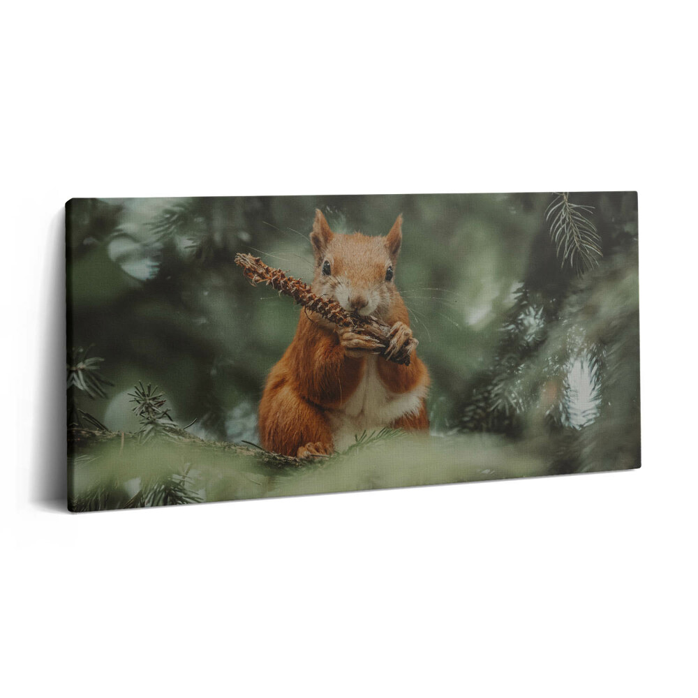 Obraz z fotografie na plátně 120x60 cm Volně žijící veverka