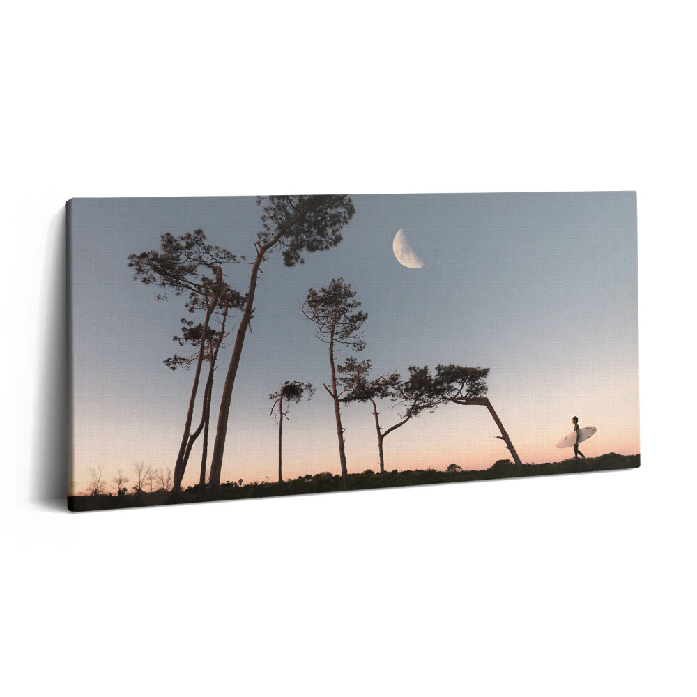 Obraz na plátně 120x60 cm Půlměsíc a stromy