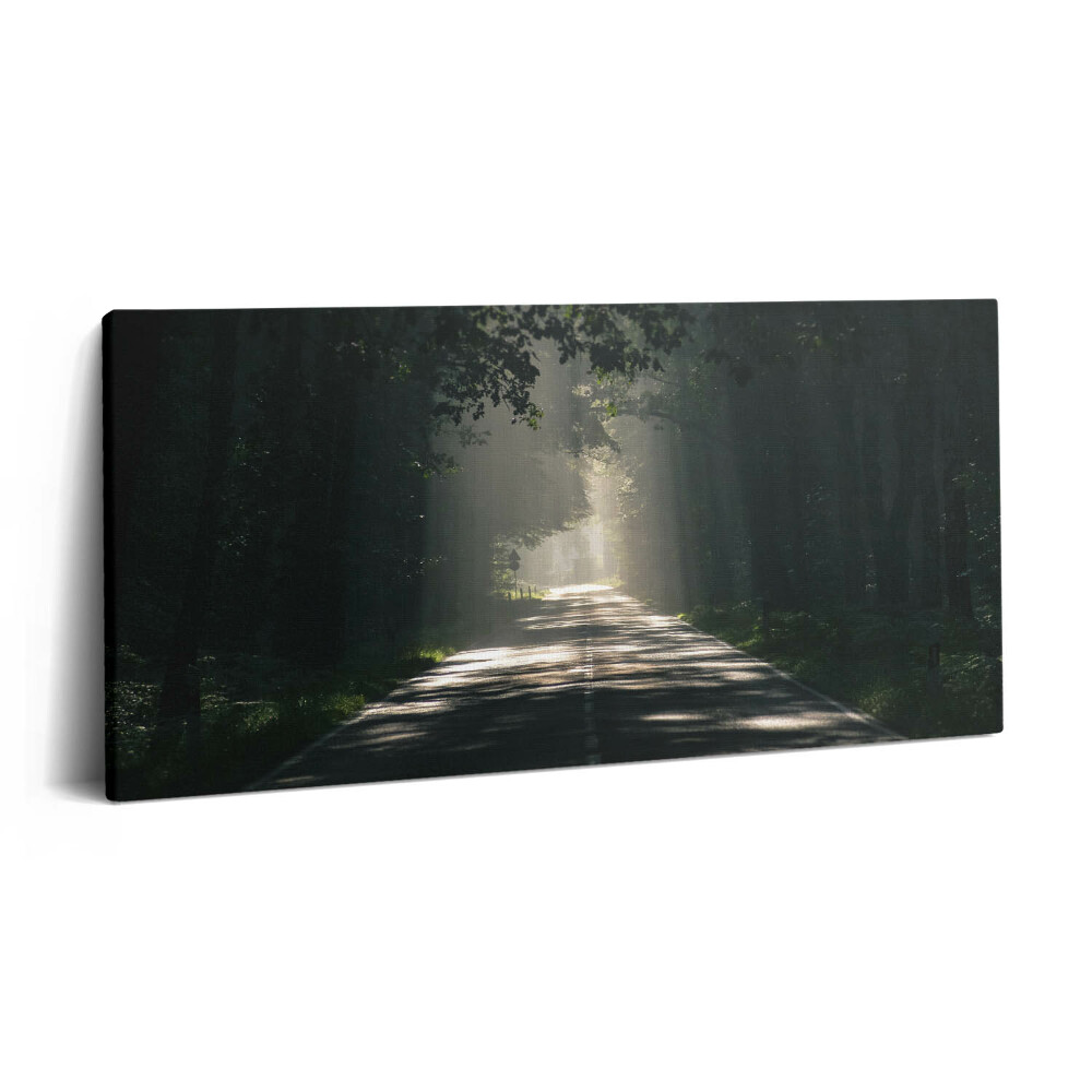 Obraz z fotografie na plátně 120x60 cm Lesní cesta a pruhy slunečního světla