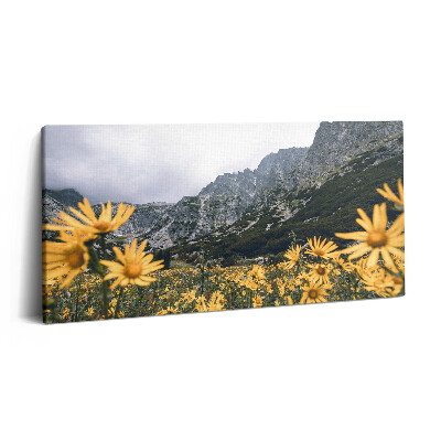 Obraz z fotografie na plátně 120x60 cm Květná louka v Tatrách