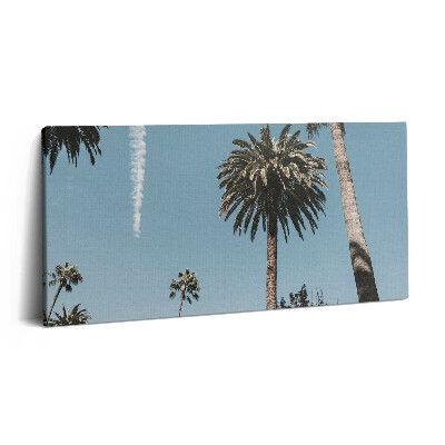 Obraz na plátně 120x60 cm Palmy v Los Angeles