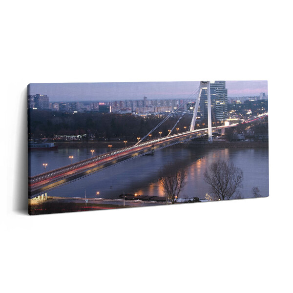 Obraz canvas 120x60 cm Most UFO přes Dunaj v Bratislavě