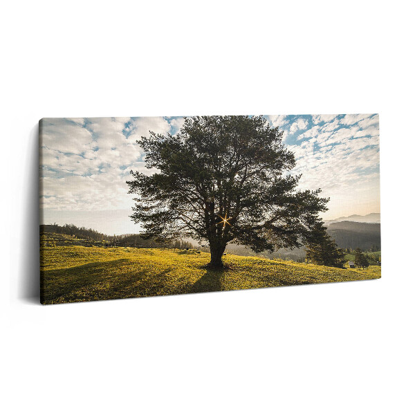 Obraz canvas 120x60 cm Listnatý strom na kopci