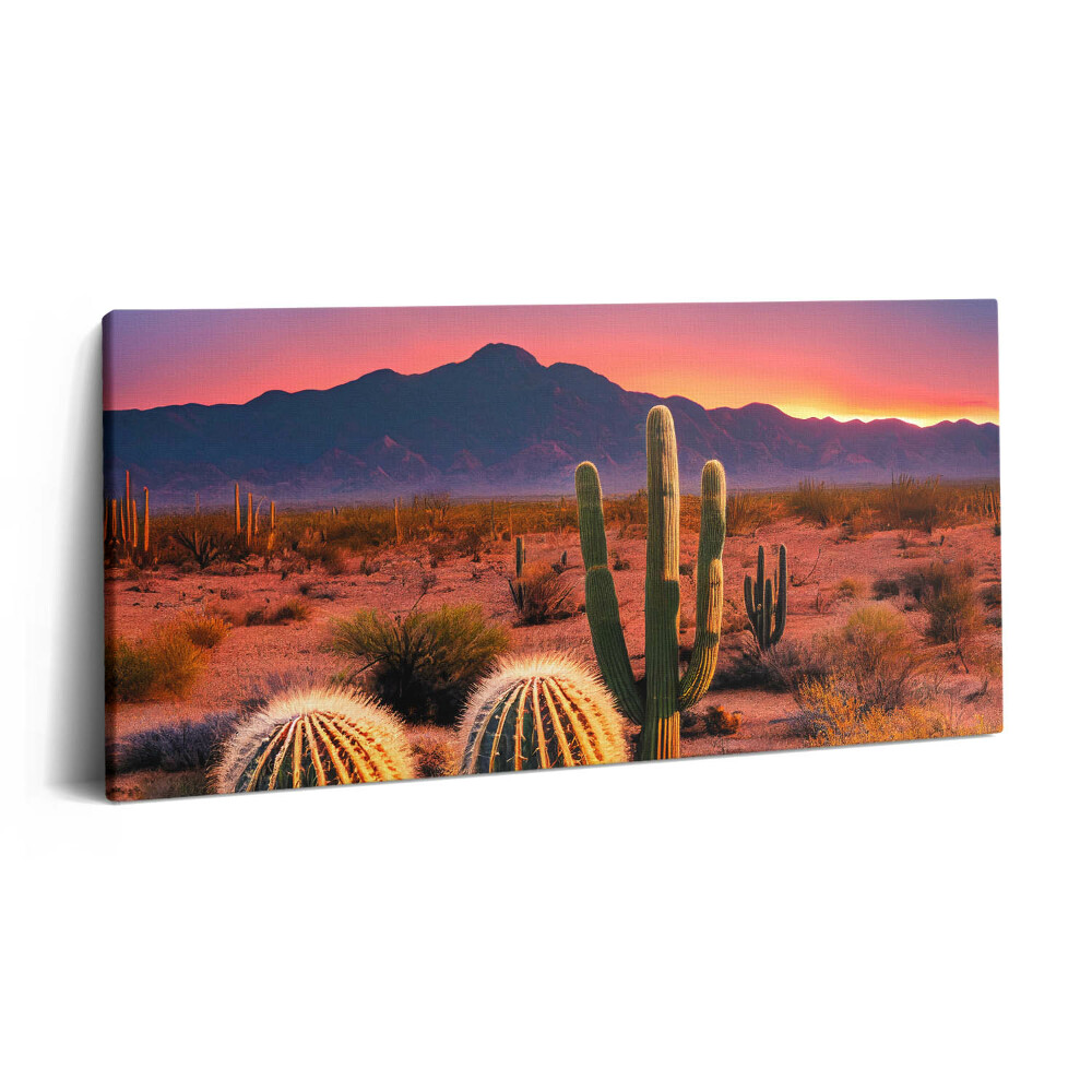 Obraz z fotografie na plátně 120x60 cm Západ slunce v poušti