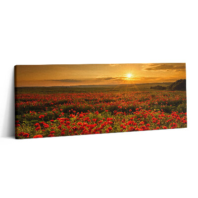Obraz canvas 125x50 cm Krajina mýtiny s máky