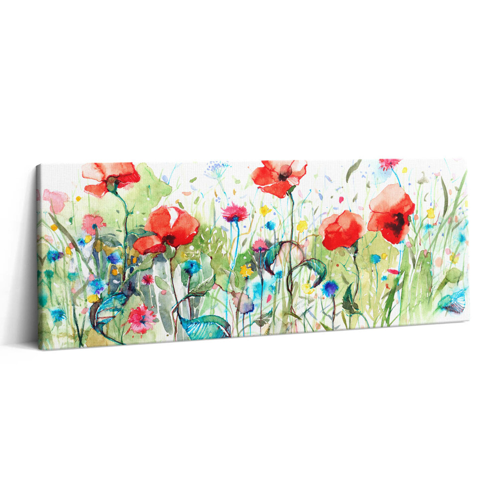 Obraz canvas 125x50 cm Mák na louce