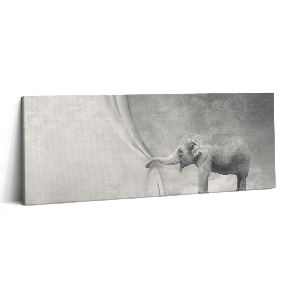 Obraz canvas 125x50 cm Slon za závěsem