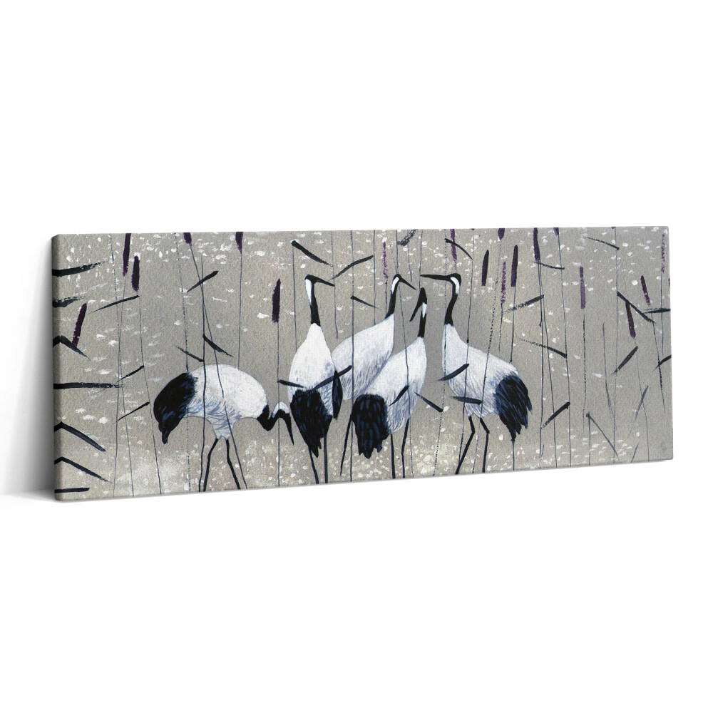 Obraz canvas 125x50 cm Rákosoví jeřábi