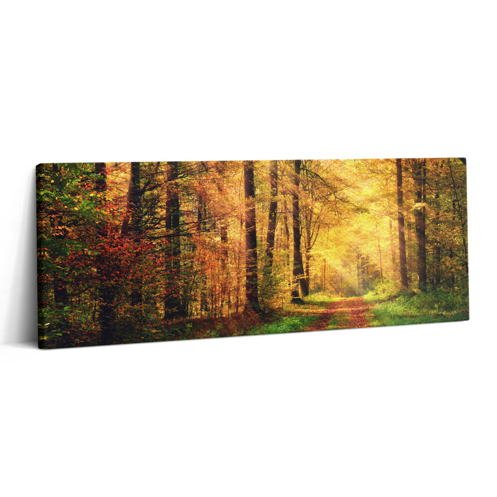Obraz canvas 125x50 cm Podzimní krajina lesa