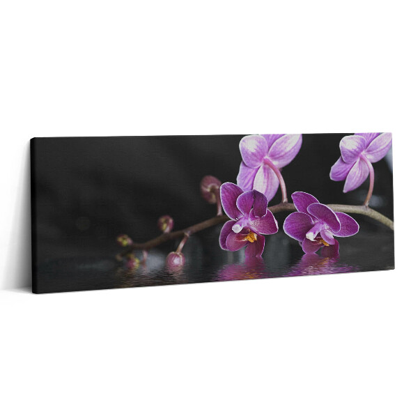 Obraz canvas 125x50 cm Růžový květ orchideje na vodě