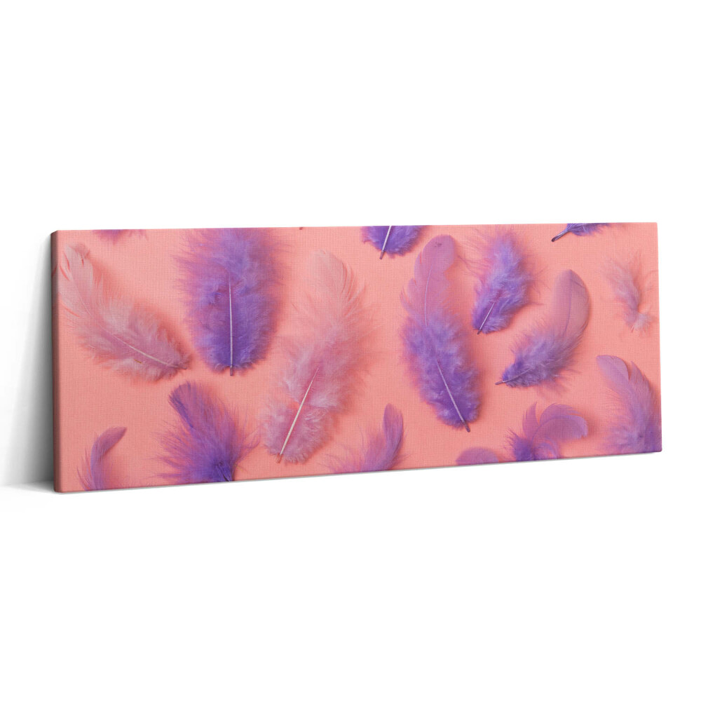 Obraz canvas 125x50 cm Barevné peří