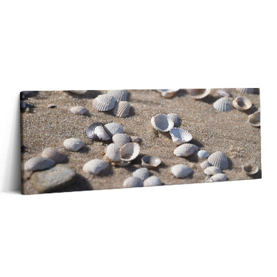 Obraz canvas 125x50 cm Mušle na pláži