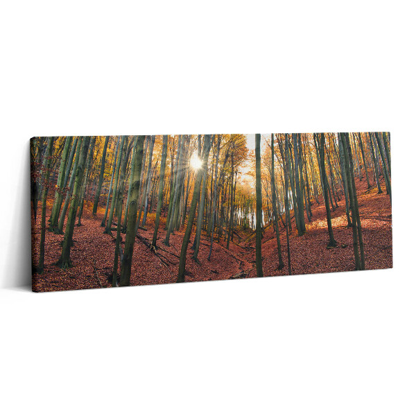 Obraz canvas 125x50 cm Západ slunce a stromy
