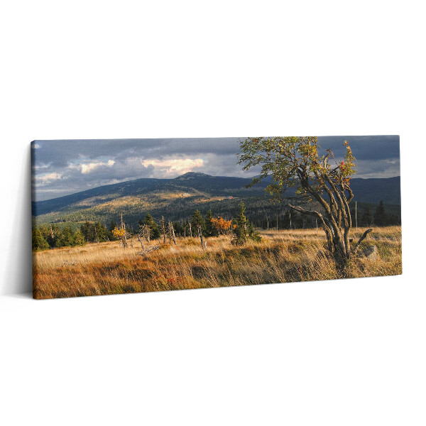 Obraz canvas 125x50 cm Krkonoše na podzim