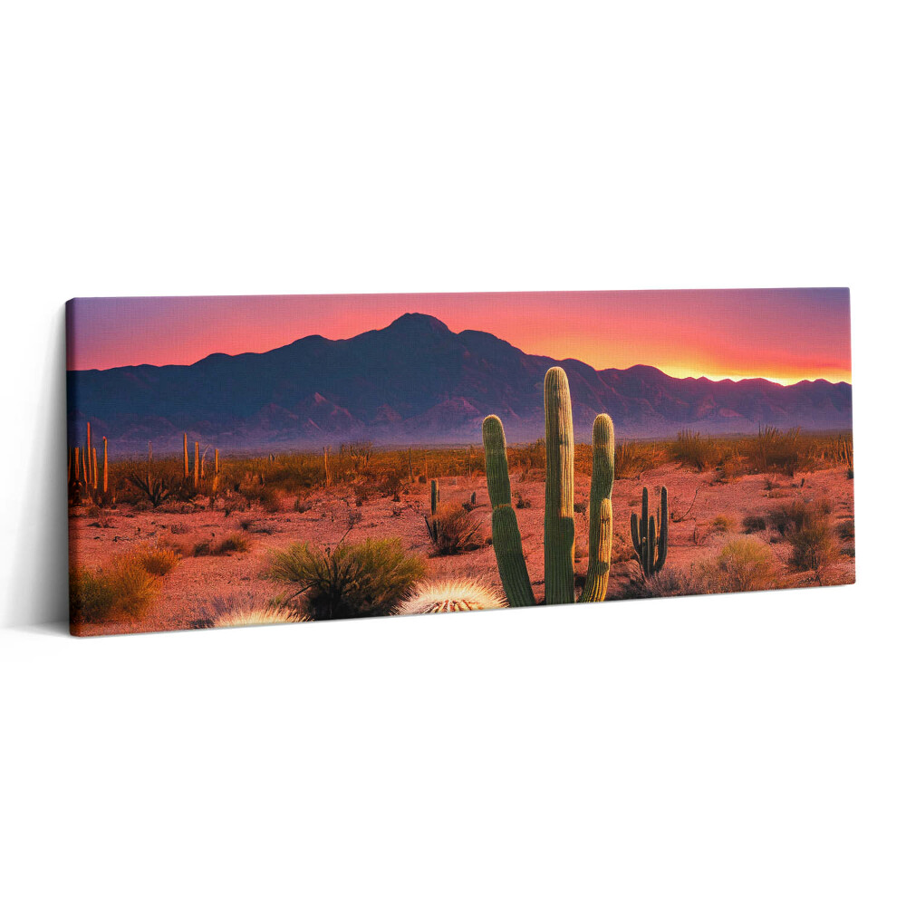 Obraz canvas 125x50 cm Západ slunce v poušti