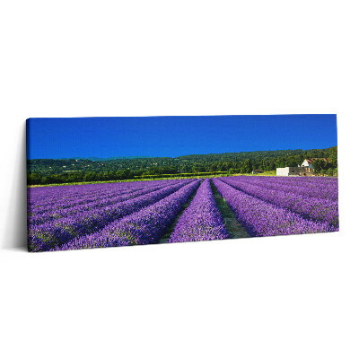 Obraz canvas 125x50 cm Levandulové pole v Provence