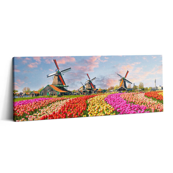 Obraz canvas 125x50 cm Krajina s tulipány Nizozemsko
