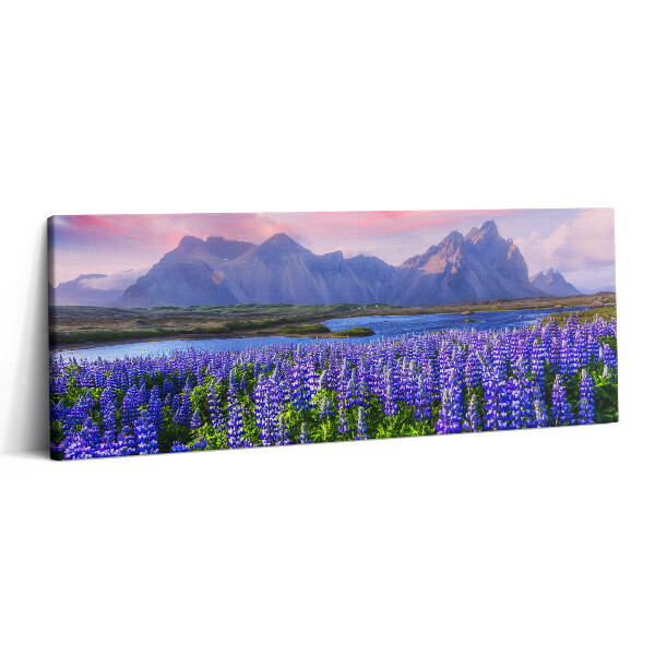 Obraz canvas 125x50 cm Levandulová pole - Island