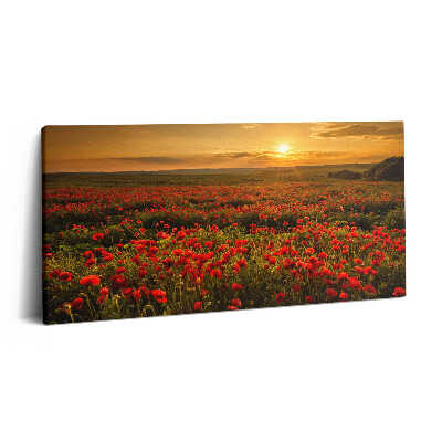 Obraz z fotografie na plátně 140x70 cm Krajina mýtiny s máky