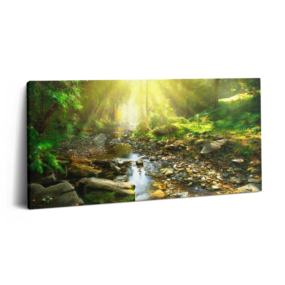 Obraz z fotografie na plátně 140x70 cm Lesní potok na slunci