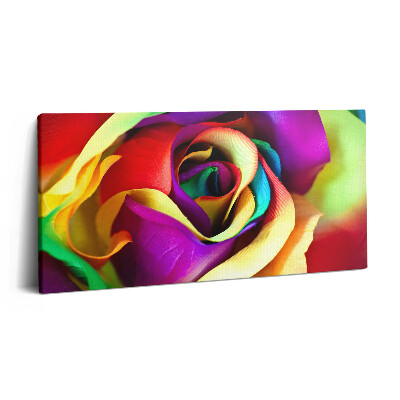 Obraz z fotografie na plátně 140x70 cm Duhová růže