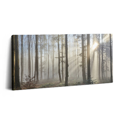 Obraz z fotografie na plátně 140x70 cm Les v mlze