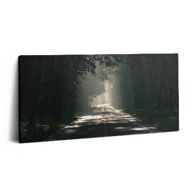 Obraz z fotografie na plátně 140x70 cm Lesní cesta a pruhy slunečního světla