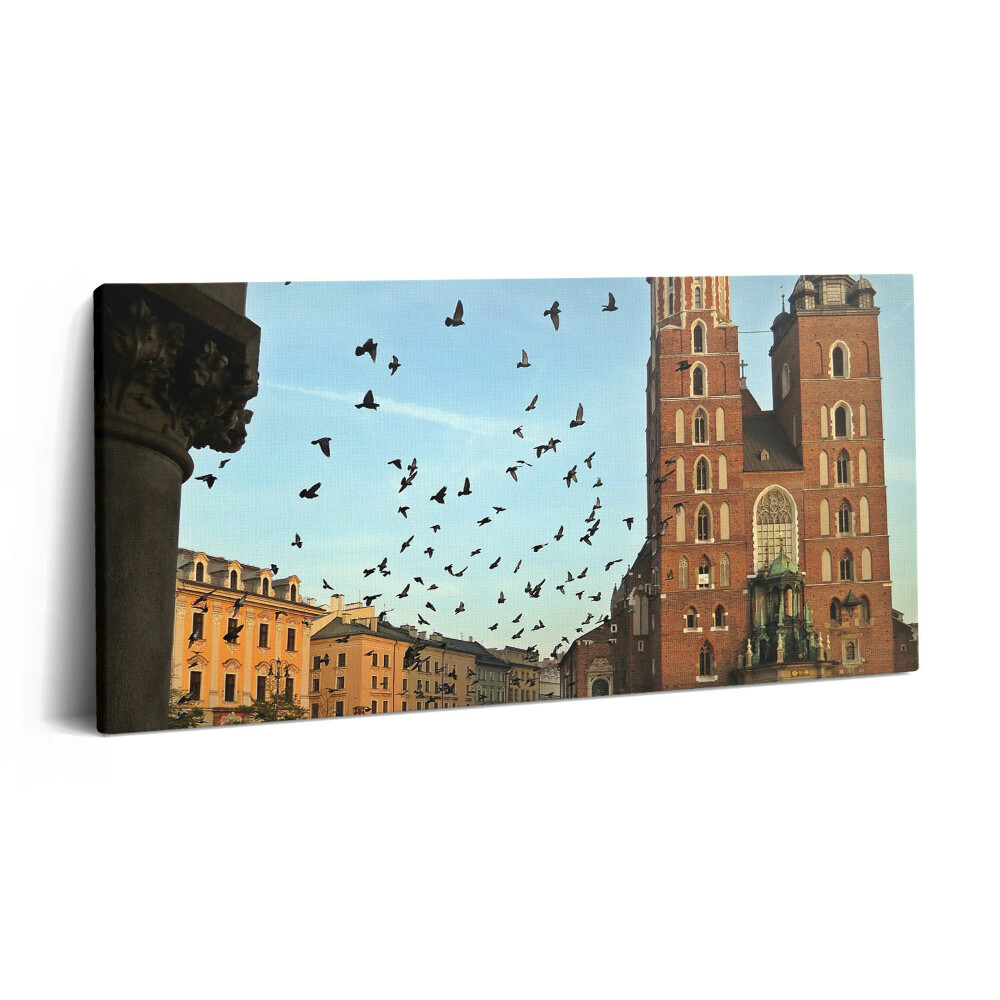 Obraz na plátně 140x70 Holubi v Krakově