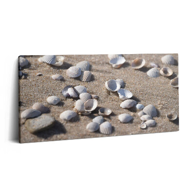 Obraz z fotografie na plátně 140x70 cm Mušle na pláži