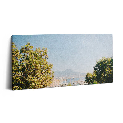 Obraz canvas 140x70 cm Zelené stromy v Neapoli
