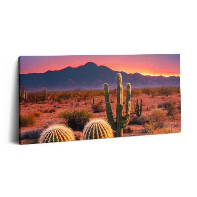 Obraz z fotografie na plátně 140x70 cm Západ slunce v poušti